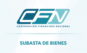 Cfn Subastara 272 Bienes En Seis Provincias Del Pais Cfn