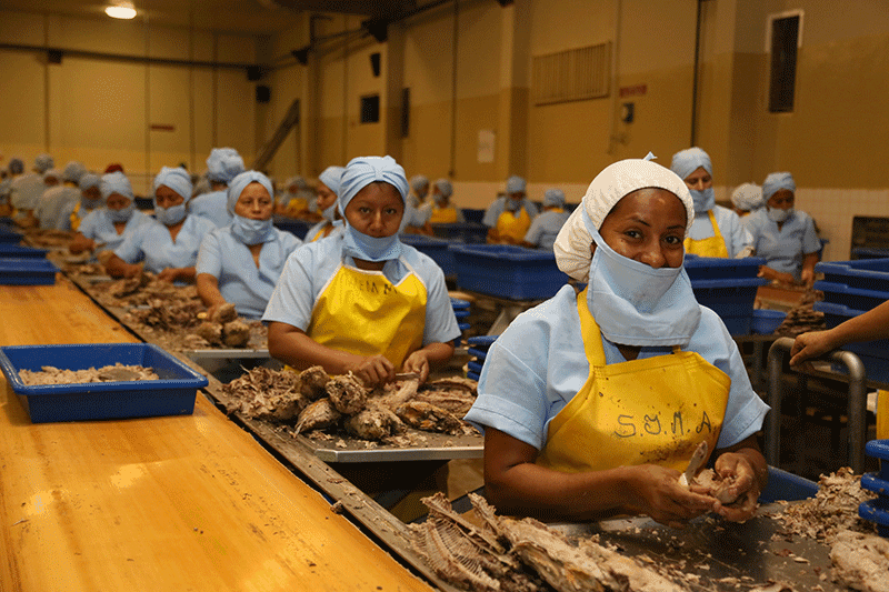 CFN-generaron-miles-de-empleos-en-el-2019