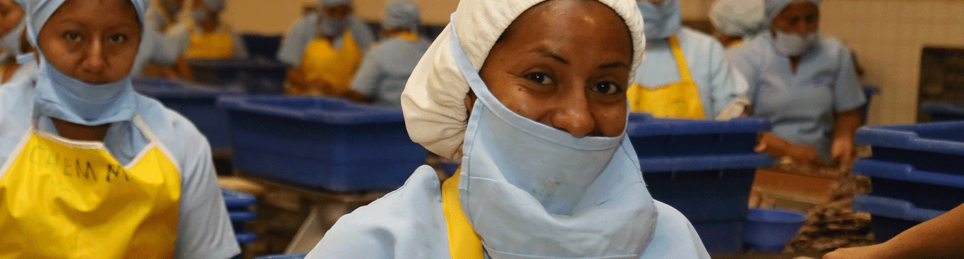 Los créditos de CFN generaron miles de empleos en el 2019