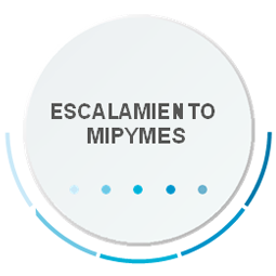 ESCALAMIENTO MIPYMES