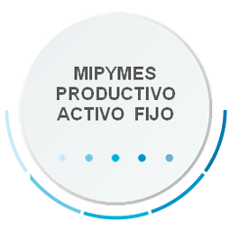 MIPYMES PRODUCTIVO ACTIVO FIJO