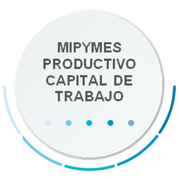 MIPYMES PRODUCTIVO CAPITAL DE TRABAJO