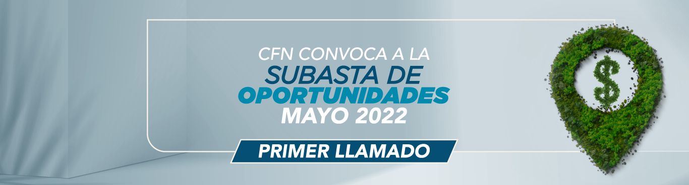 CFN invita a la primera Subasta de Oportunidades 2022