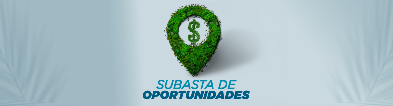 CFN APERTURÓ LOS SOBRES EN LA SUBASTA DE OPORTUNIDADES 2022