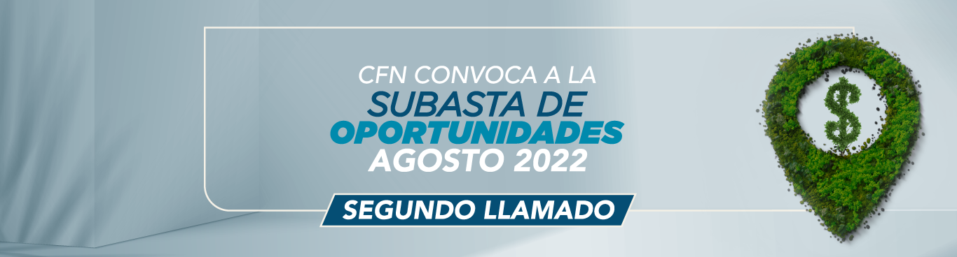 La CFN anuncia su segundo llamado a la Subasta de Oportunidades 2022