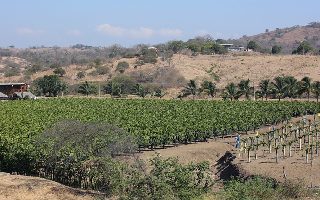 CFN RESPALDARÁ PROYECTOS CON COMPONENTES DE MITIGACIÓN O ADAPTACIÓN AL CAMBIO CLIMÁTICO