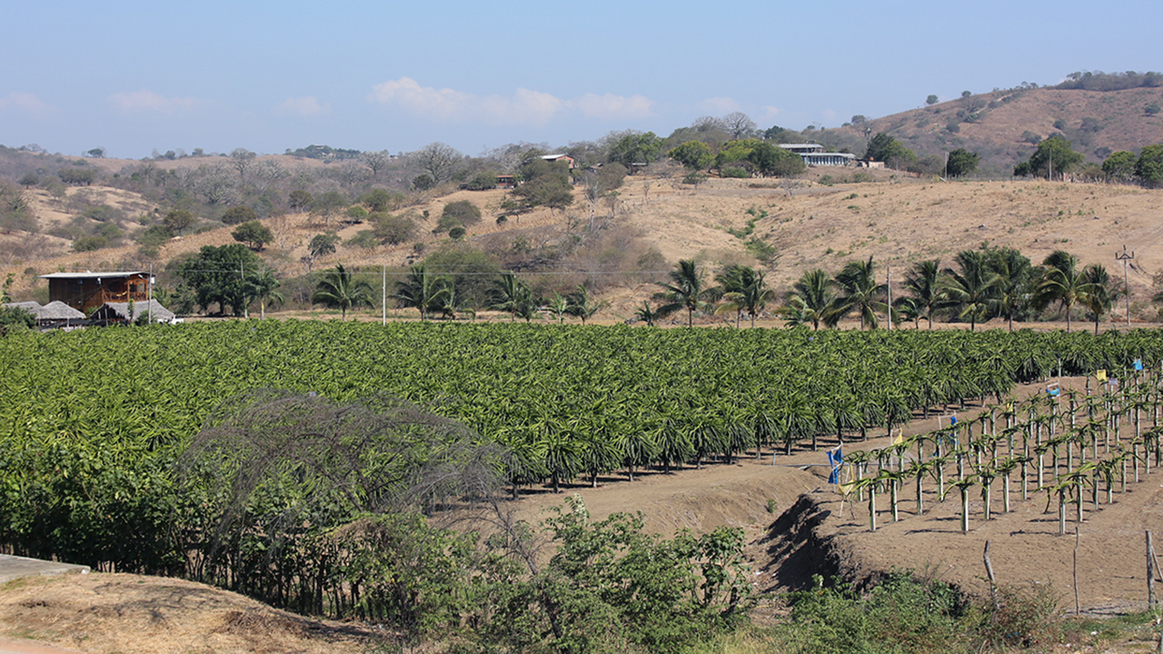 CFN RESPALDARÁ PROYECTOS CON COMPONENTES DE MITIGACIÓN O ADAPTACIÓN AL CAMBIO CLIMÁTICO