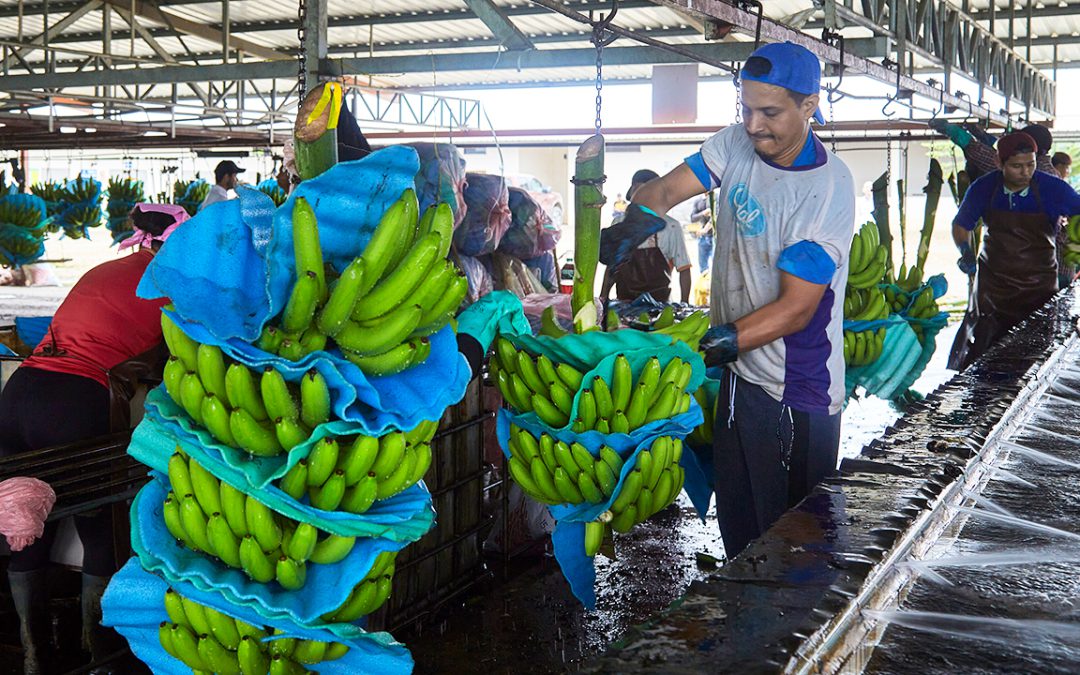 CFN B.P. y Banco de Machala respaldan Créditos Productivos
