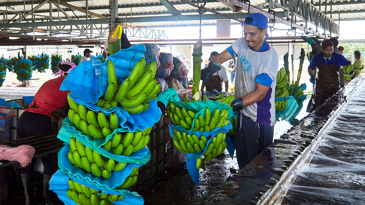 CFN B.P. y Banco de Machala respaldan Créditos Productivos