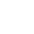 icon cheque