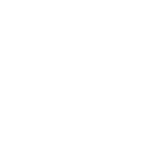 Icono
