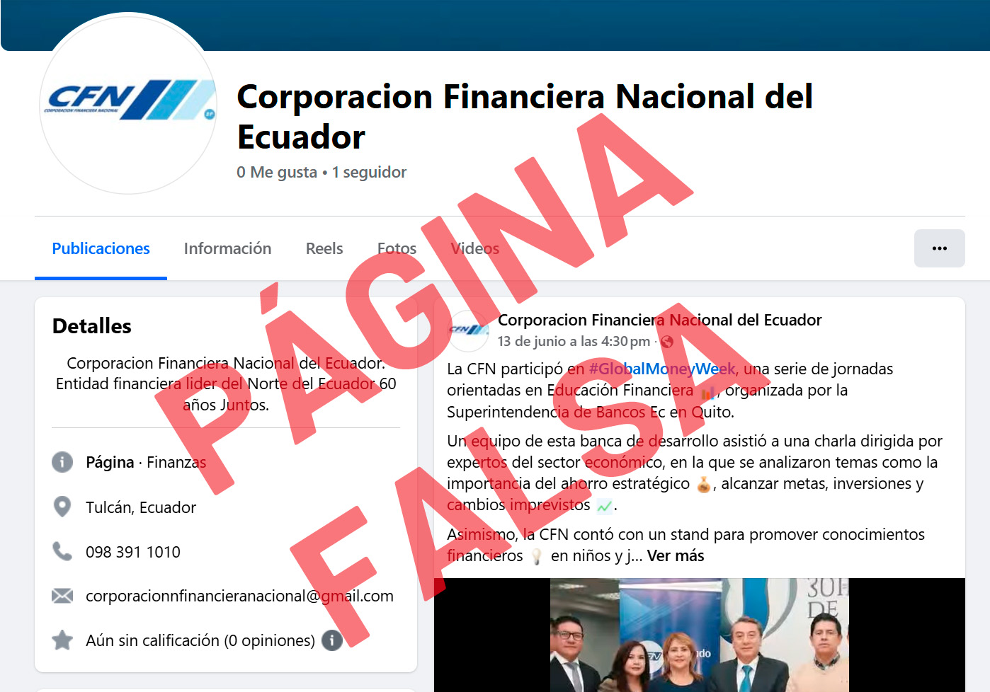 pagina falsa