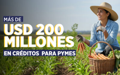 EL GOBIERNO DE DANIEL NOBOA GESTIONA USD 200 MILLONES EN CRÉDITOS PRODUCTIVOS PARA 3.200 PYMES