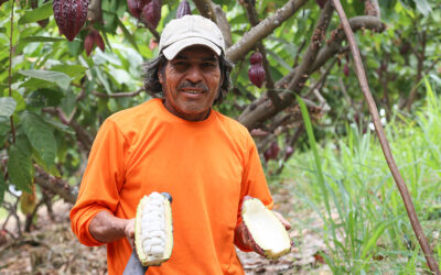 Impacto social y ambiental más allá del crédito: cómo la Corporación Financiera Nacional B.P. está transformando al Ecuador