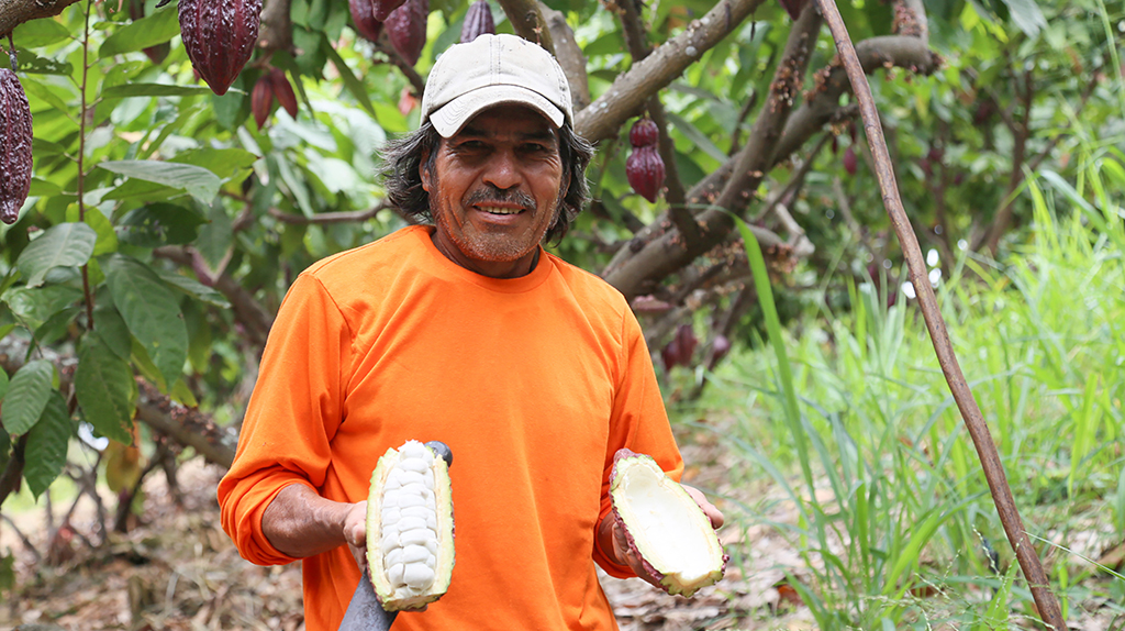 Balance-Social-2025_CFN- Impacto-Ambiental